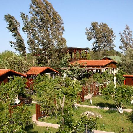فندق La Boutique Hemerans Çıralı المظهر الخارجي الصورة